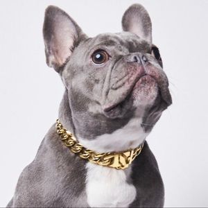 cuban link gold chain dog collar medium size